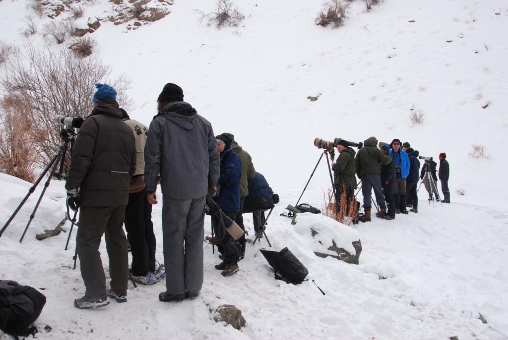 CM Travels | Snow Leopard Searching | Snow Leopard Conservancy