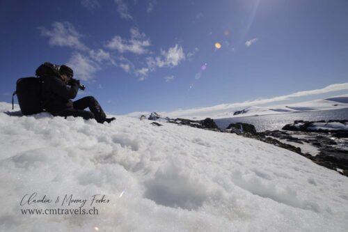 antarctica-chinstrap-penguin-with-landscape-polar-wildlife-travel